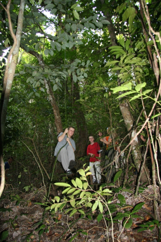 Penanjung nature reserve. Playing Tarzan on the vines, Java Pangandaran Indonesia 2.jpg - Indonesia Java Pangandaran. Penanjung nature reserve. Playing Tarzan on the vines